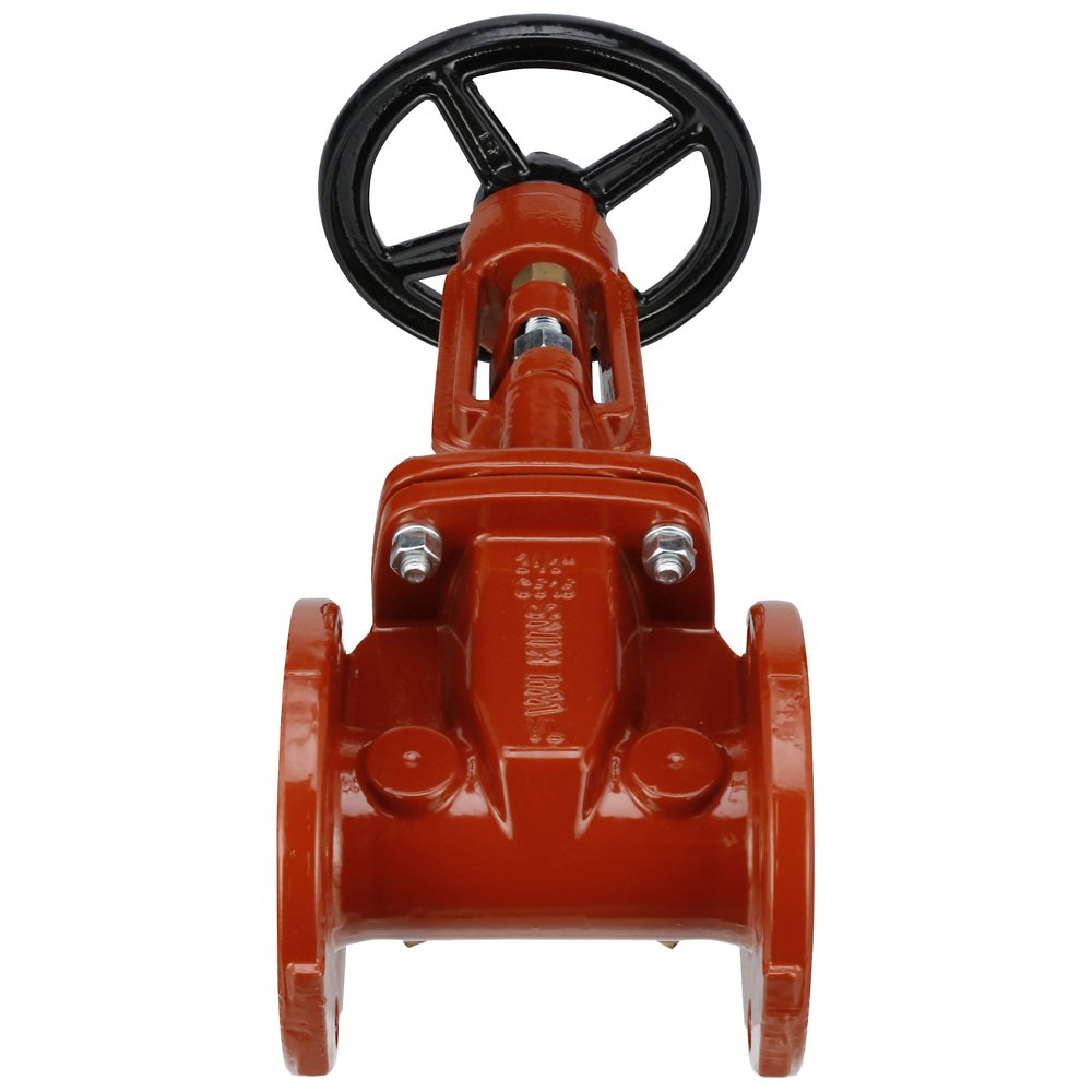 Zurn 6-48OSY Lead-Free Resilient Wedge Gate Valve with Outside Stem & Yoke (OS&Y)