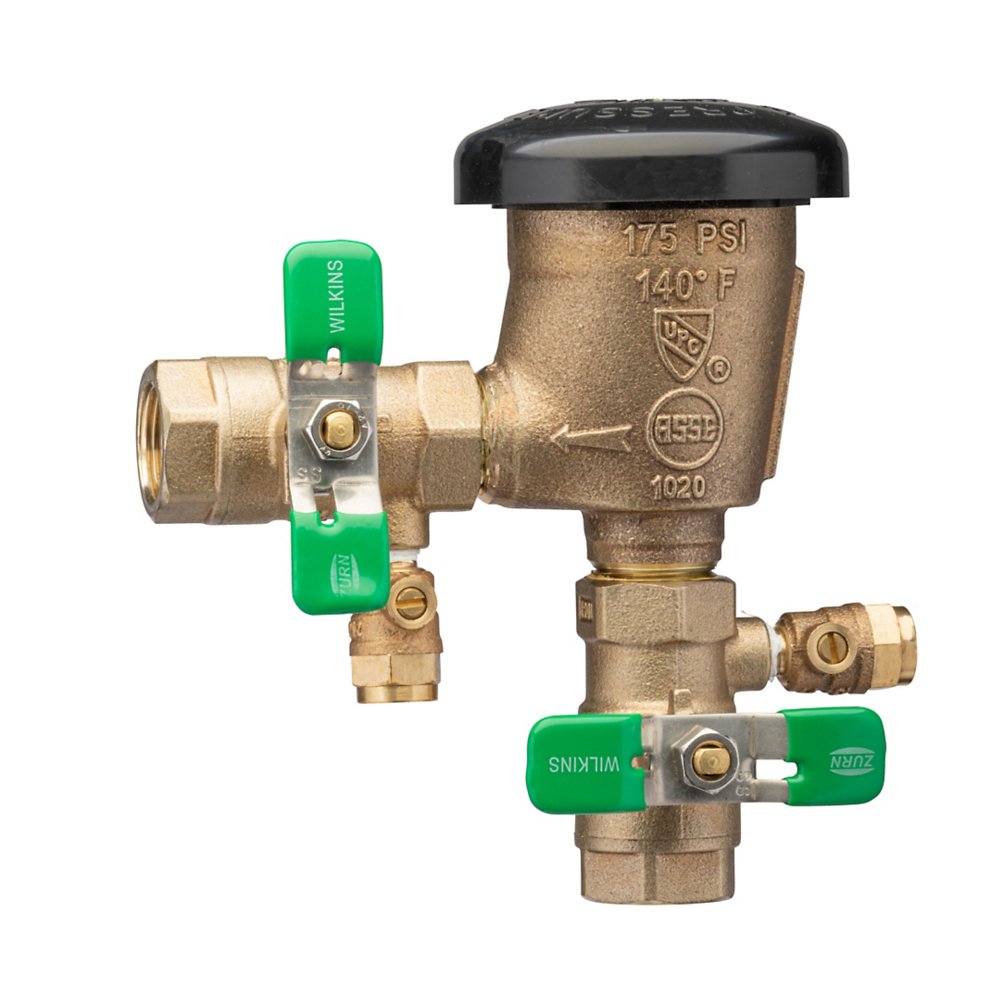 Zurn 1-420XL Lead-Free Pressure Vacuum Breaker Assembly with Integral Anti-Freeze Relief Valve