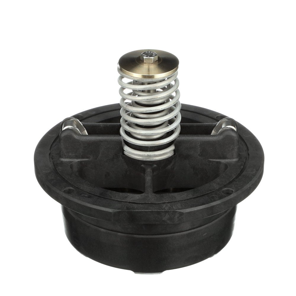 Zurn RK8-375CK1 #1 Check Assembly Repair Kit