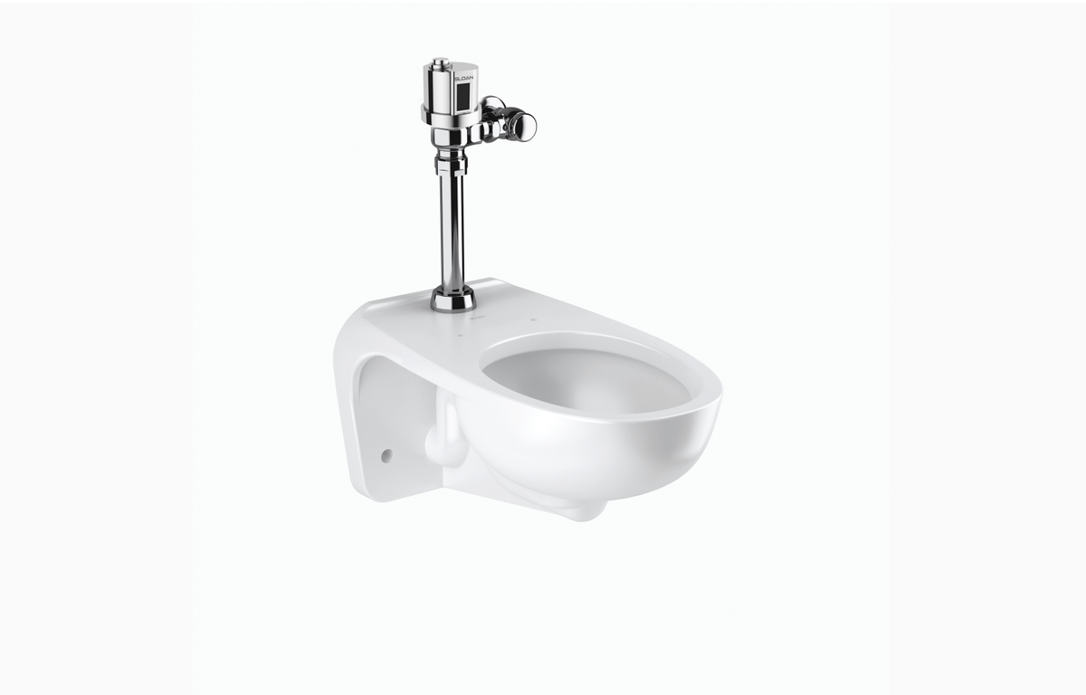 Sloan WETS-2750.1410-STG Water Closet Combo, ST-2459STG Wall-Mounted with Sloan 8111-1.28