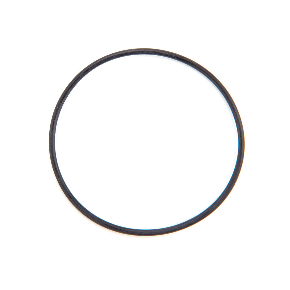 Watts RK 777SI-GASKET 2 1/2 Strainer