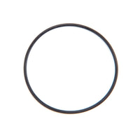 Watts RK 777SI-GASKET 2 1/2 Strainer