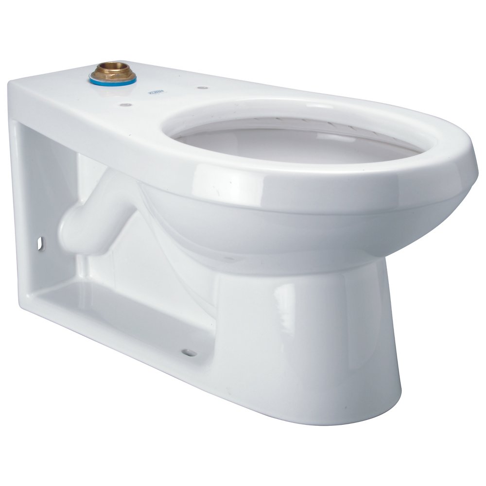 Zurn Z5635-BWL Floor-mounted back outlet Flush Valve Toilet ZurnSHIELD™ glaze