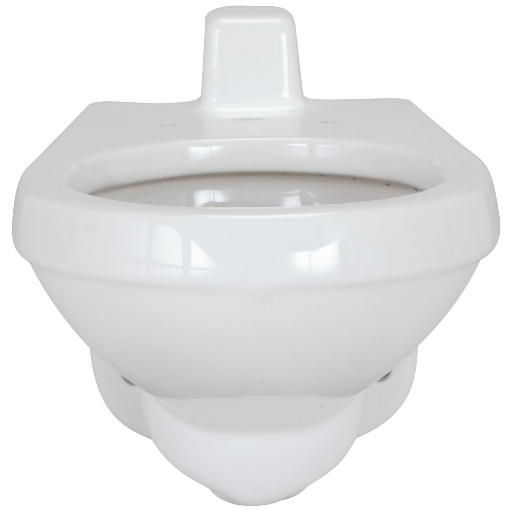 Zurn Z5617-BWL Back Spud Wall Hung Flush Valve Toilet with ZurnSHIELD™ glaze