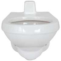 Zurn Z5617-BWL Back Spud Wall Hung Flush Valve Toilet with ZurnSHIELD™ glaze