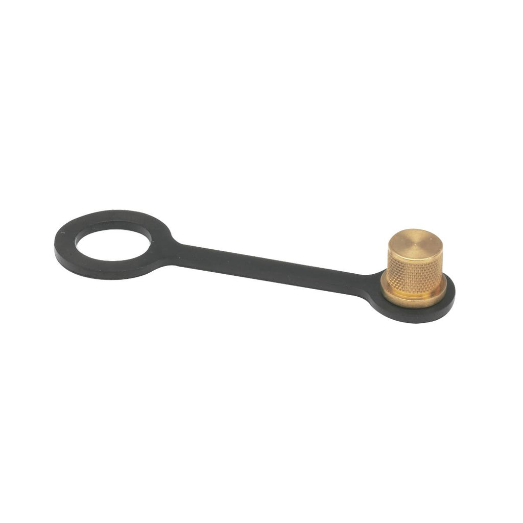 Watts RK SAE-TC-B Brass Dust Cap With O-Ring Seal And Rubber Tether For 1/8  In M X Sae Test Cock