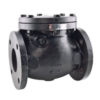 Watts WM 1/2 Check Valve, Thermoplastic