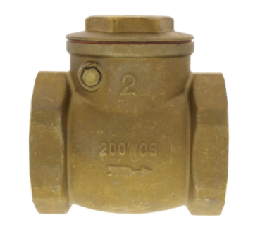2 IPS Lead Free Swing CK Valve