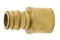 Uponor LF4505050 ProPEX LF Brass Sweat Fitting Adapter, 1/2" PEX x 1/2" Copper