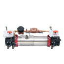 Watts 757DCDA-BFG-CFM 6