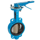 Watts DBF-04-121-25-M2 3