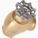 Watts 800M4FR 1/2 Pressure Vacuum Breaker, Bronze, FNPT