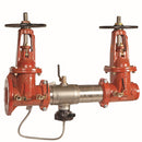 Watts 957-OSY-FXG-FS 2 1/2