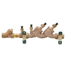 Watts 719QTS 3/4 backflow preventer for Plumbing