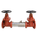Watts 757-DNRS 6 backflow preventer