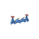 Watts LF709-NRS-S-FDA 10 backflow preventer for Plumbing