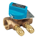 Watts CSM-61-M1-T 1/2