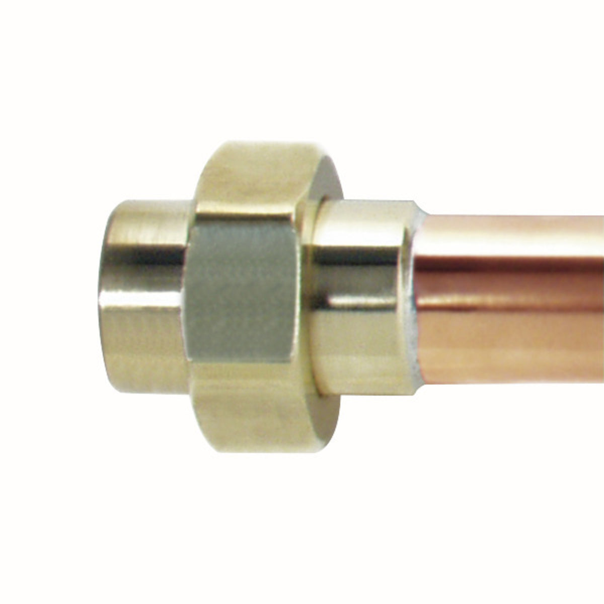 Watts 464202