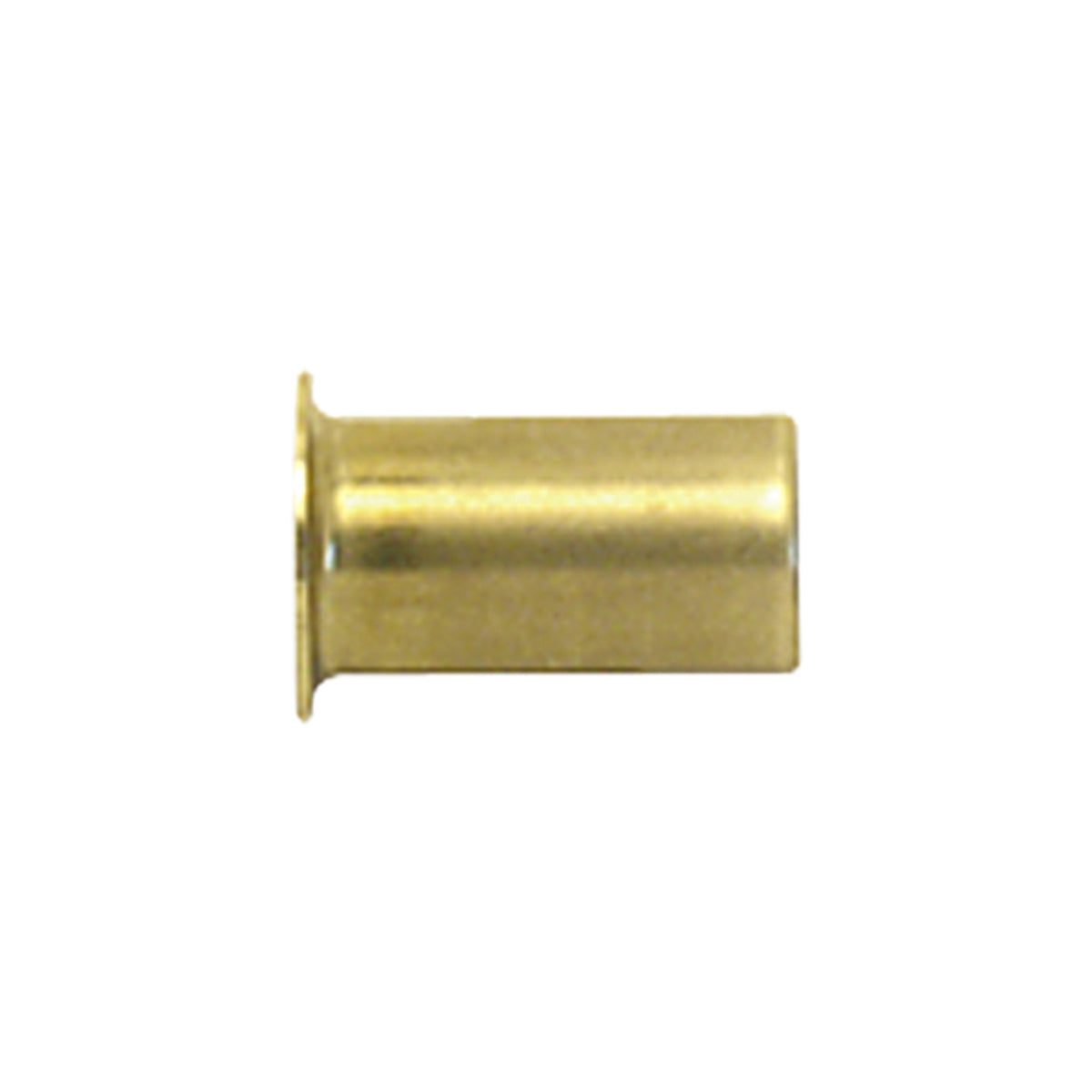 Watts WPIS-1PB-PEX