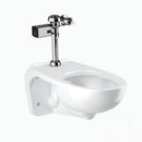Sloan WETS-2450.1440 Water Closet Combo, Wall-Mounted Top Spud with Regal 111-1.28 (1.28 gpf)