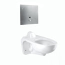 Sloan WETS-2460.1325 Water Closet Combo, ST-2469 Wall-Mounted Rear Spud, 1.28 gpf