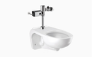 Sloan WETS-2753.3003-STG Water Closet Combo, ST-2459STG Top Spud with Gem-2 111-1.6 (1.6 gpf)