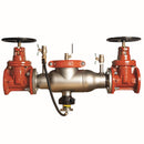Watts 994-DNRS-FS 3