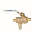 Watts 3/4 LFBRVM1PXPXC-125