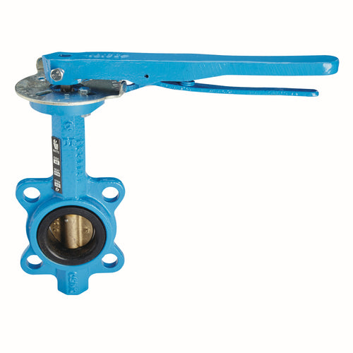Watts DBF-04-121-15-M2 2 1/2