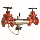 Watts 957-DNRS-FS 3