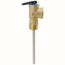 Watts DP100XL-TT-150210