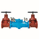 Watts LF007-DNRS-IOT 2 1/2