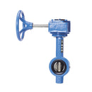 Watts DBF-04-131-1G-M2 4