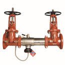 Watts 957-DOSY-FS 3