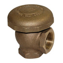 FEBCO 710 1 1/4 backflow preventer - Plumbing Equipment
