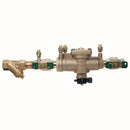 Watts LF009M2-QT-S-FS 1