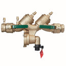 Watts LF919-QT-FS 1 1/4
