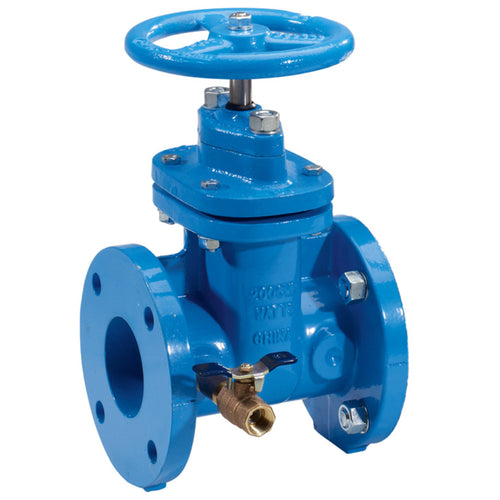 Watts NRS-RW-GATE-TC 2 1/2