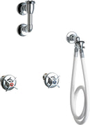 Chicago Faucets 778-VBGCP Bed pan cleaner, NPT