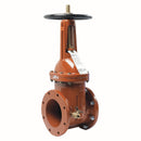 Watts OSY-RW-GATE-TC 4