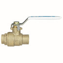 Watts LFB6091-SS 1/2