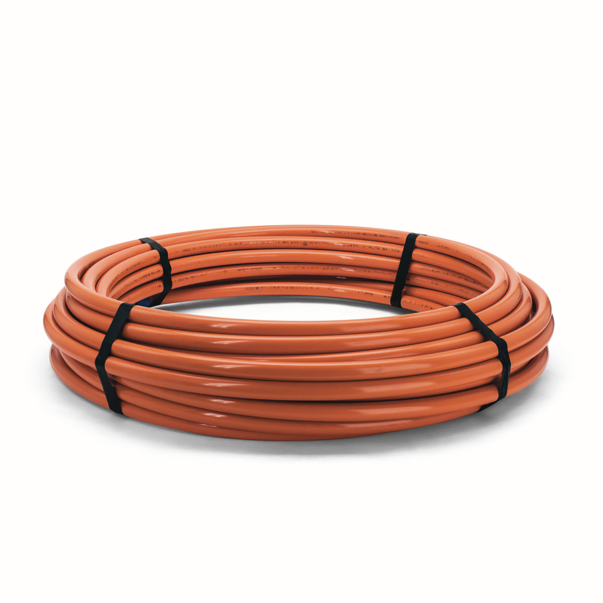 Watts PT032161-300
