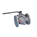Watts G4000-FDA 8