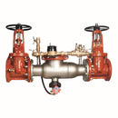 Watts 994-DOSY-FS 4