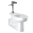Sloan WETS-2722.1001-STG Water Closet Combo, ST-2229STG Top Spud with Royal 111-1.28