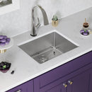 Elkay Crosstown 18 Gauge Stainless Steel 22-1/2" x 18-1/2" x 9" Single Bowl Undermount Sink Kit with Filtered Faucet ECTRU21179TFLC