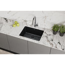 Elkay Quartz Classic 24-5/8" x 18-1/2" x 9-1/2", Single Bowl Undermount Sink Kit, Black ELGU2522BK0C