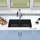Elkay Quartz Classic 33" x 18-1/2" x 9-1/2" Equal Double Bowl Undermount Sink Kit with Filtered Faucet Black ELGU3322BK0FLC