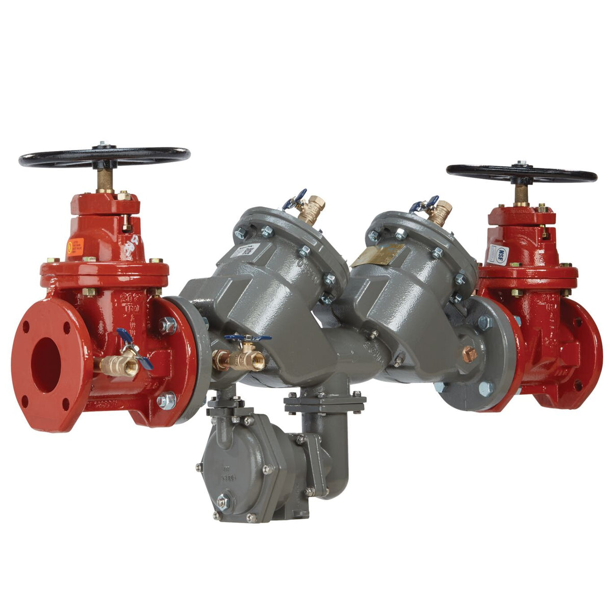 FEBCO 6 LF860-DNRS-FP backflow Preventer
