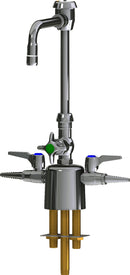 Chicago Faucets LCF1-CC-C1B2 Combination Fixture